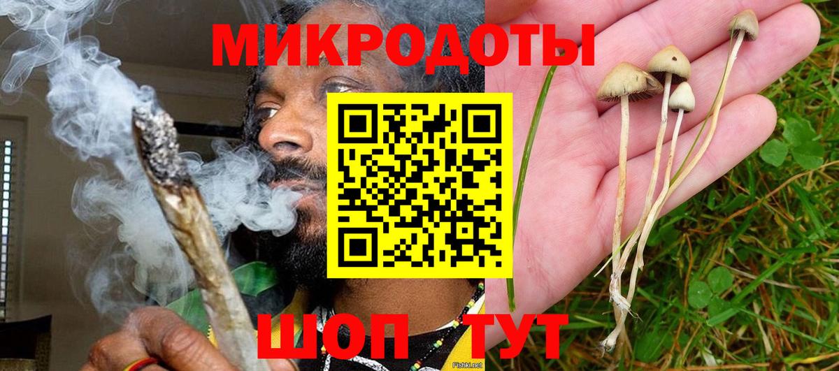 Долгопрудный  Псилоцибиновые грибы прущие грибы  купить наркотик  Вход с VPN  Галлюциногенные грибы Psilocybe 